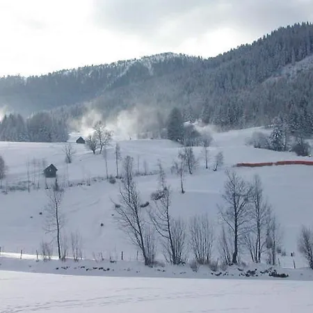 Gertraud Pensjonat Bad Kleinkirchheim